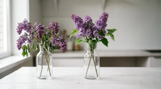Two contrasting lilac arrangements showing garden-cut stems wilting quickly versus shop-bought stems staying fresh longer in vases